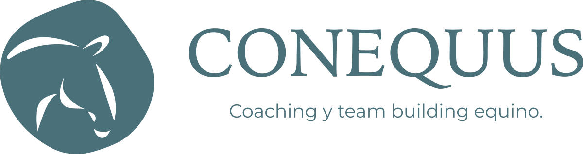 CONEQUUS
